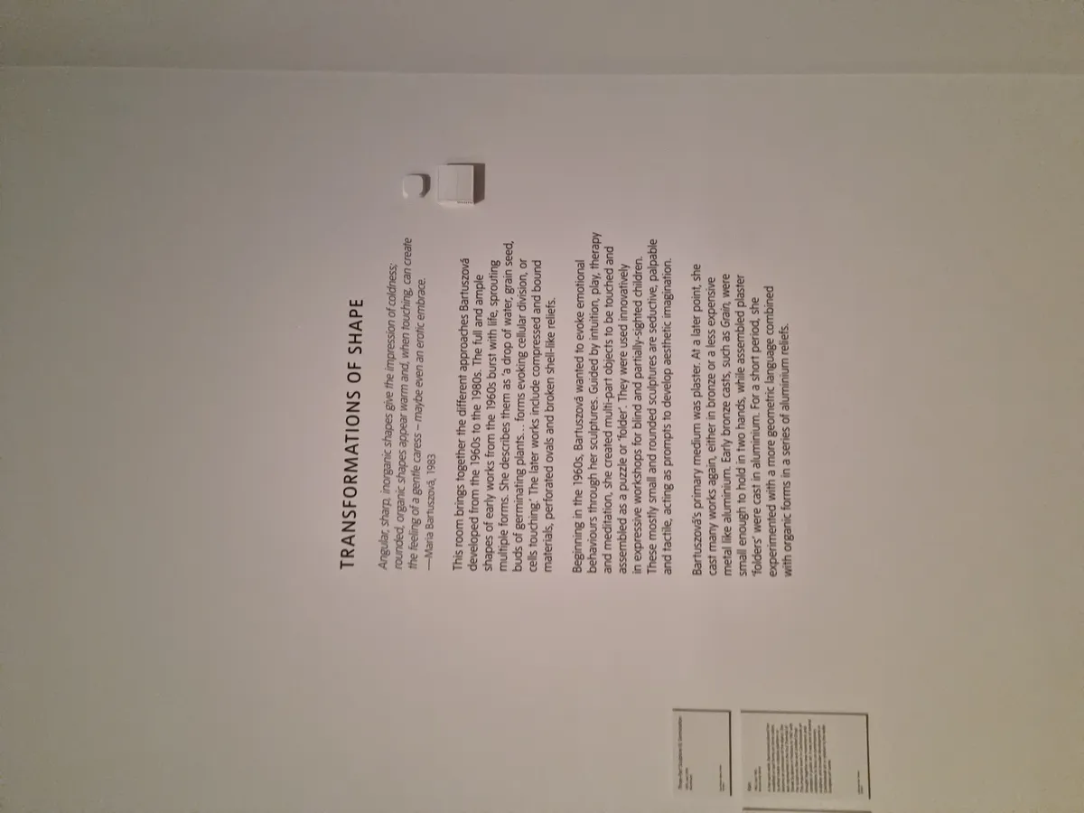 Maria Bartuzova Gallery Image 13